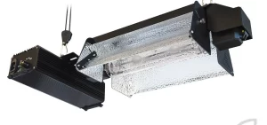 lec cmh lamp