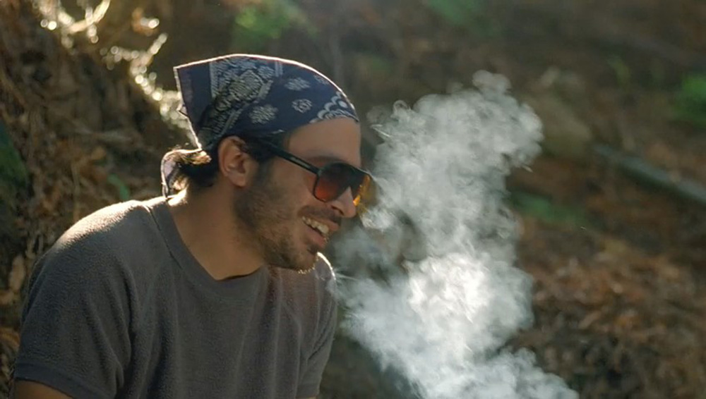 Humboldt 