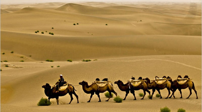 The Silk Road